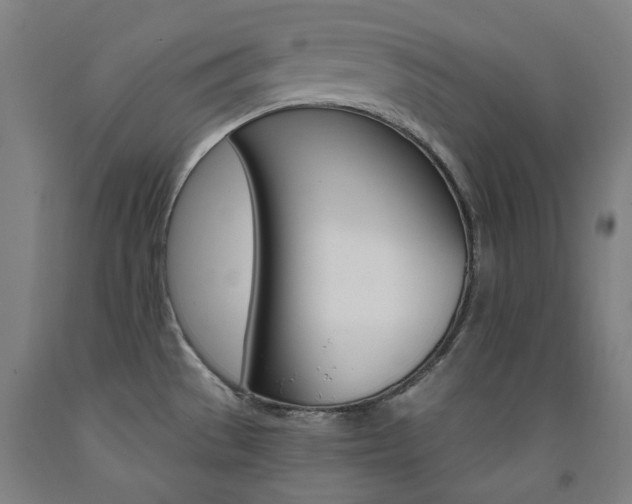 X0000093261529200709261607