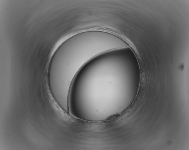 X0000093261530200709261607