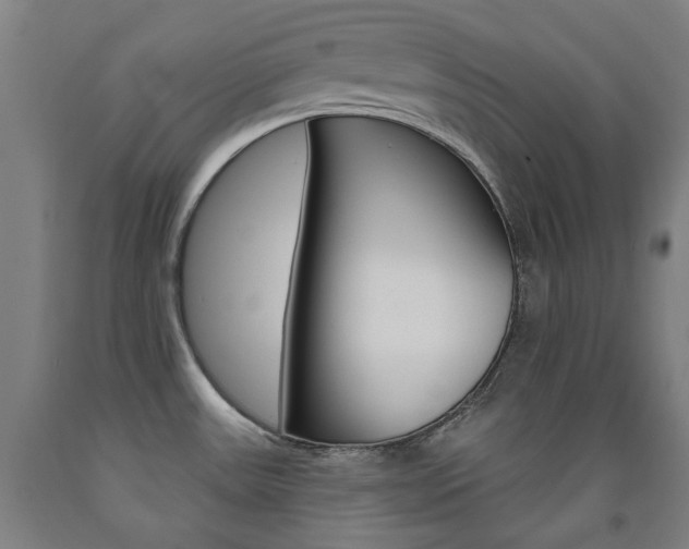 X0000093261531200709261607