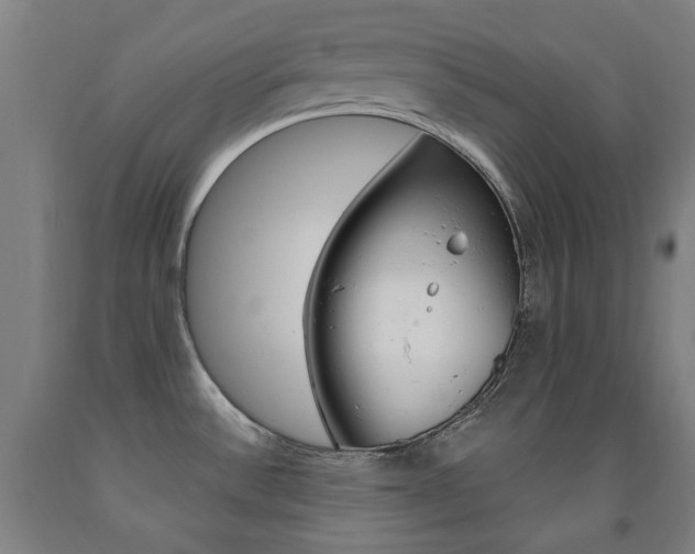 X0000093261532200709261607