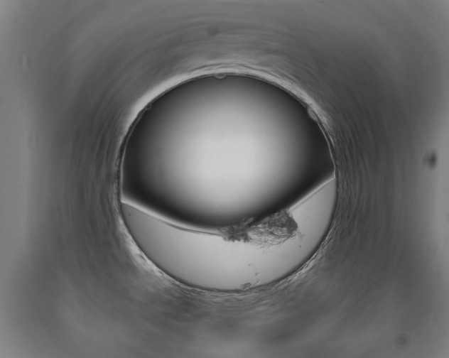 X0000093261534200709261607
