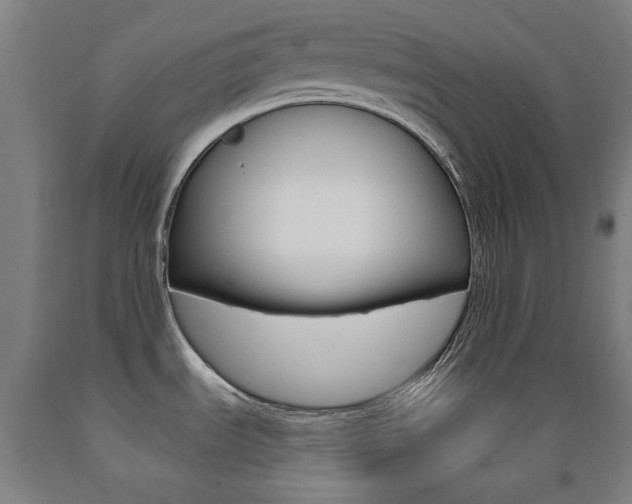 X0000093261535200709261607