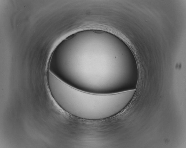 X0000093261536200709261607