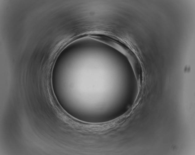X0000093260001200709261741
