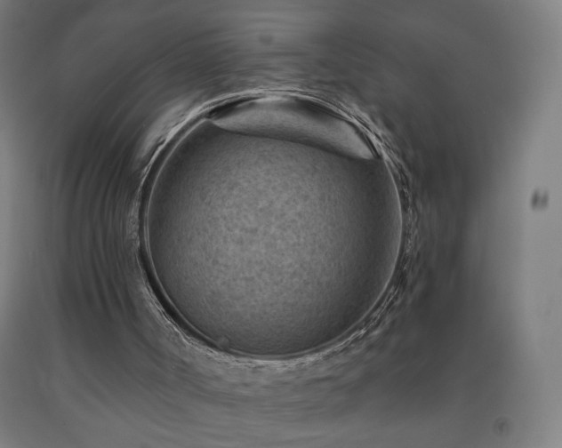 X0000093260002200709261741