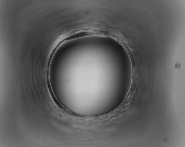 X0000093260003200709261741
