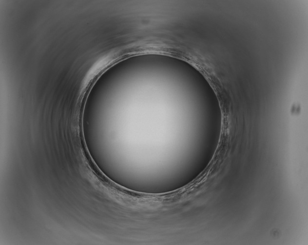 X0000093260004200709261741