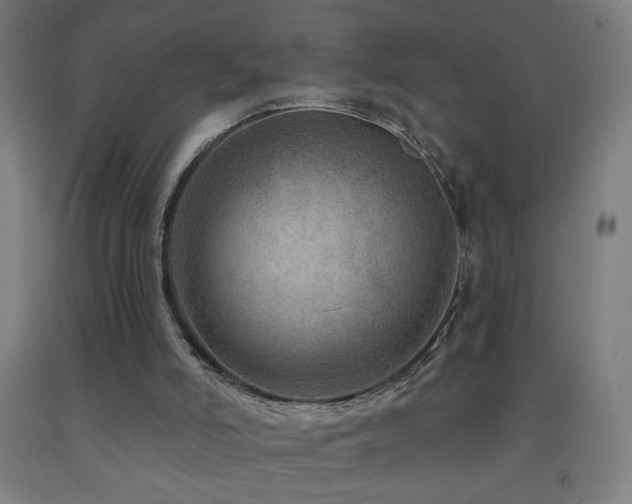 X0000093260006200709261741