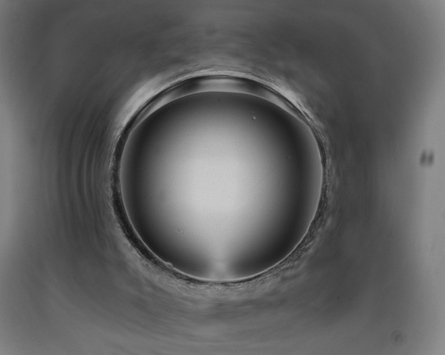 X0000093260007200709261741