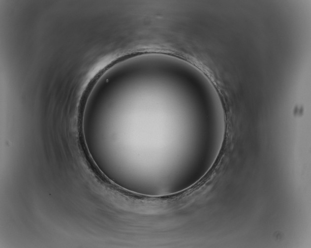 X0000093260008200709261741