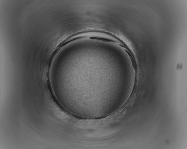 X0000093260009200709261741