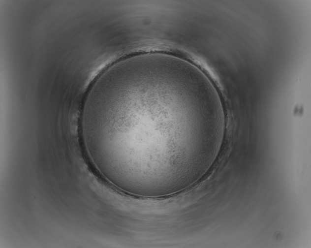 X0000093260010200709261741
