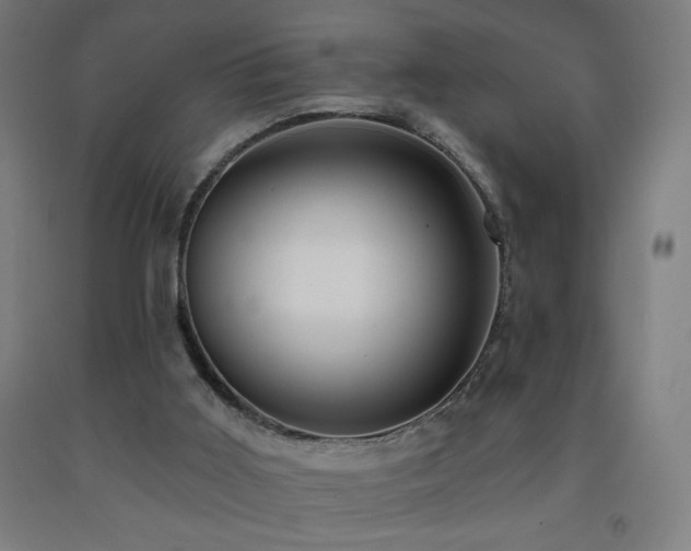 X0000093260011200709261741