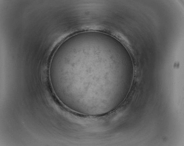 X0000093260012200709261741
