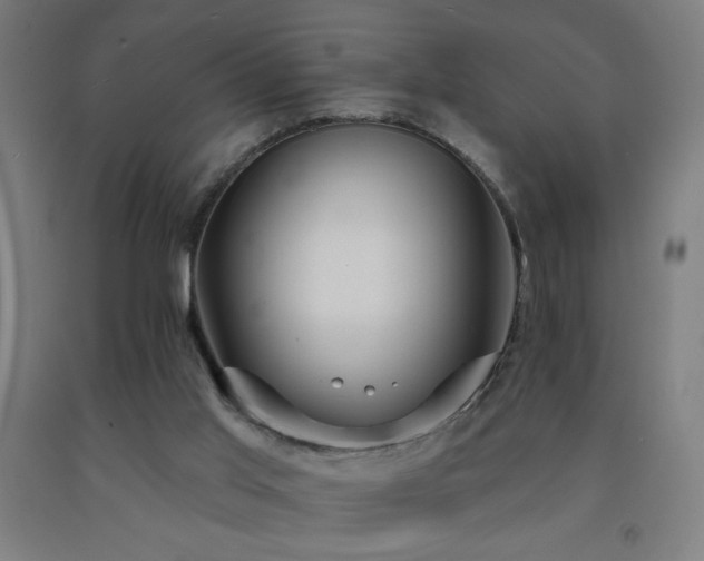 X0000093260013200709261741