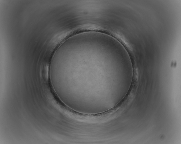 X0000093260014200709261741