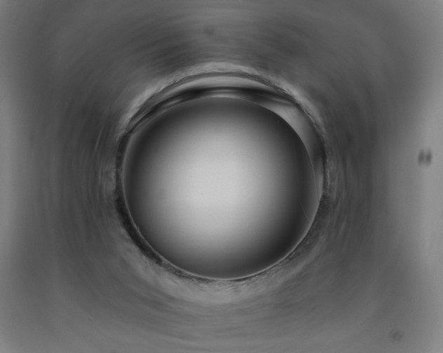 X0000093260015200709261741