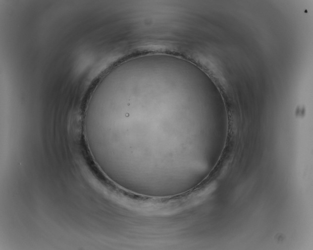 X0000093260016200709261741