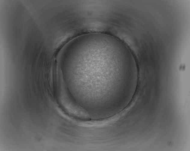 X0000093260017200709261741