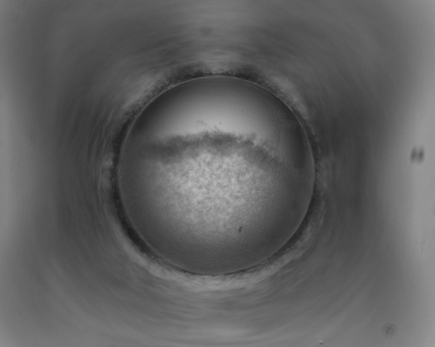 X0000093260018200709261741