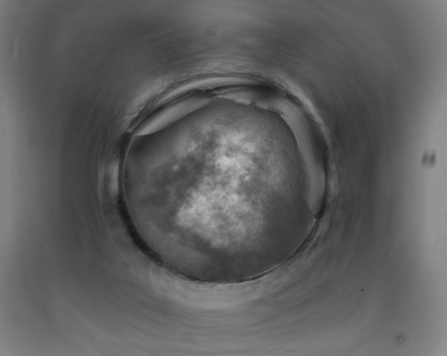 X0000093260019200709261741