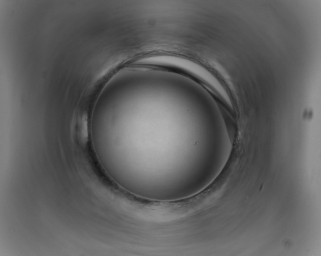 X0000093260020200709261741