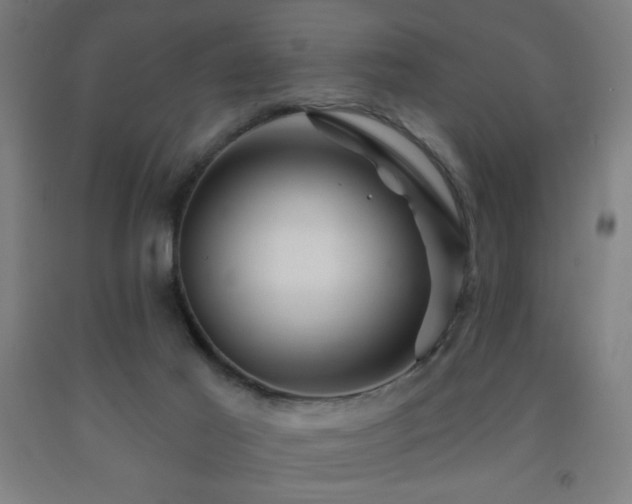 X0000093260021200709261741