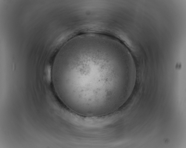 X0000093260022200709261741