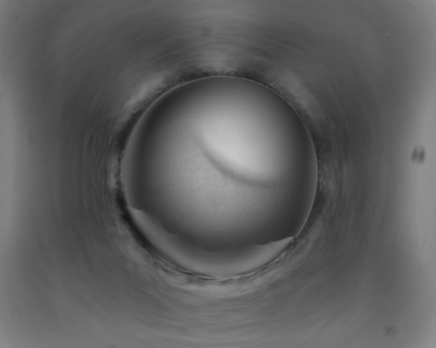 X0000093260023200709261740