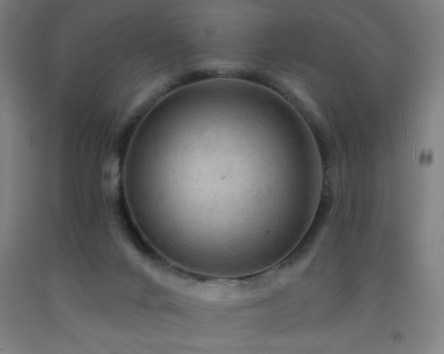 X0000093260024200709261740