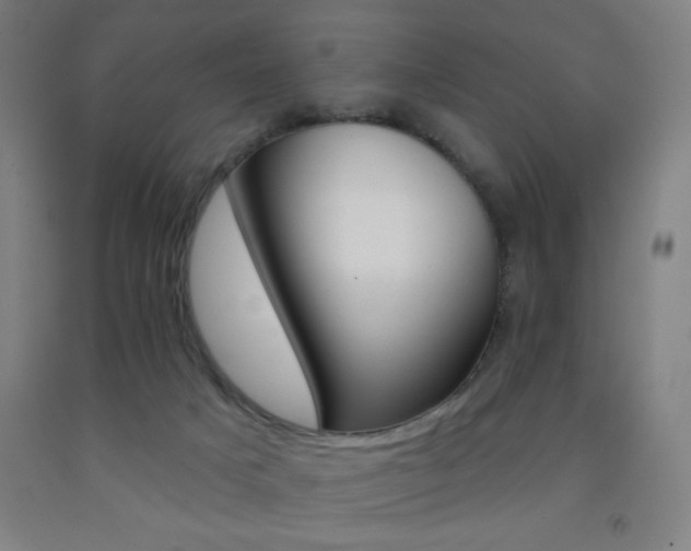 X0000093260025200709261740