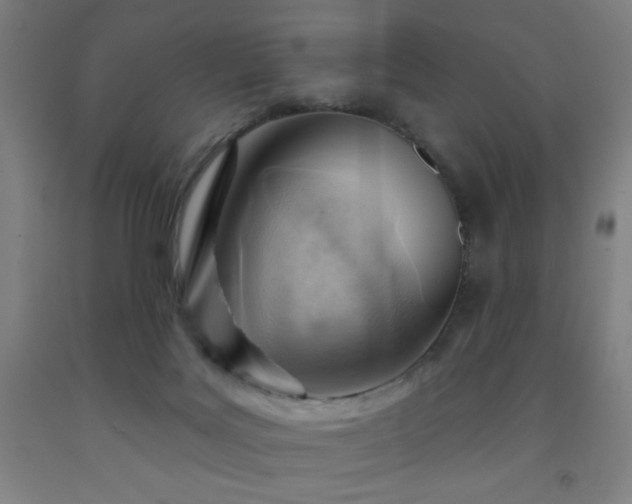 X0000093260027200709261740
