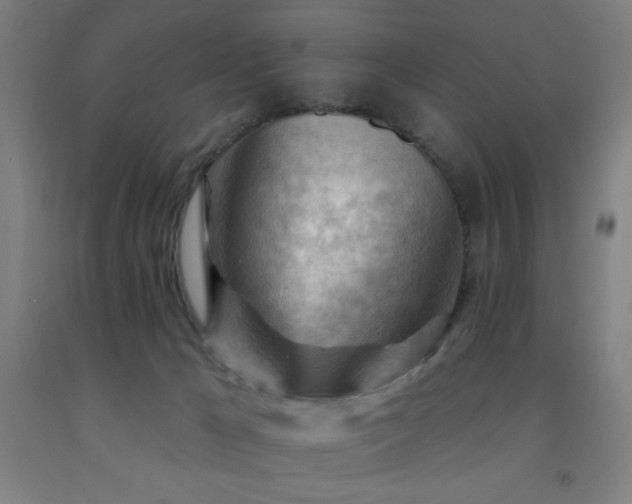X0000093260029200709261740