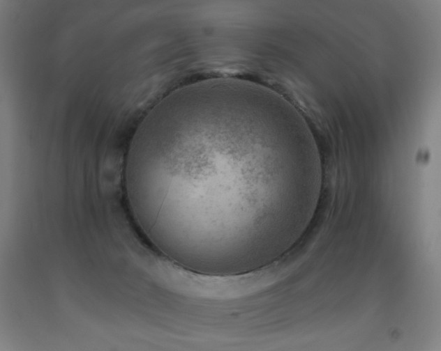 X0000093260030200709261740