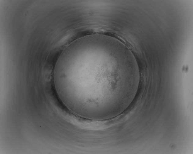 X0000093260032200709261740