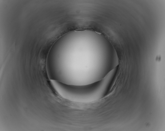 X0000093260033200709261740