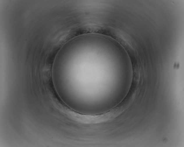 X0000093260034200709261740