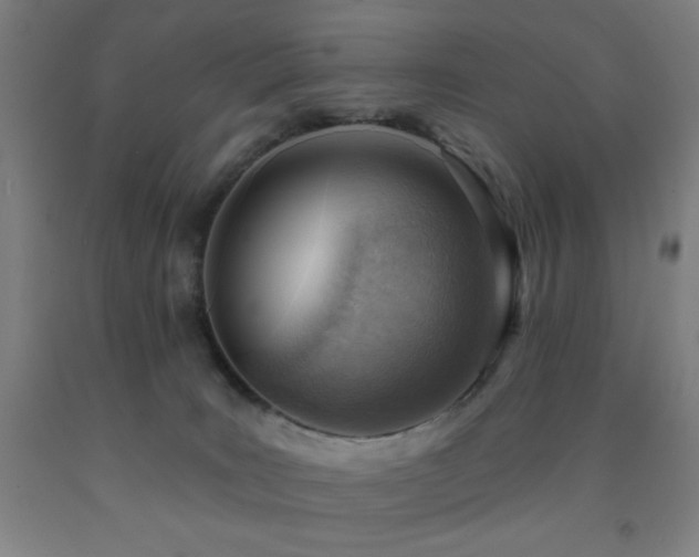 X0000093260035200709261740