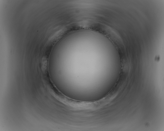 X0000093260036200709261740