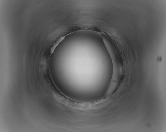 X0000093260037200709261740