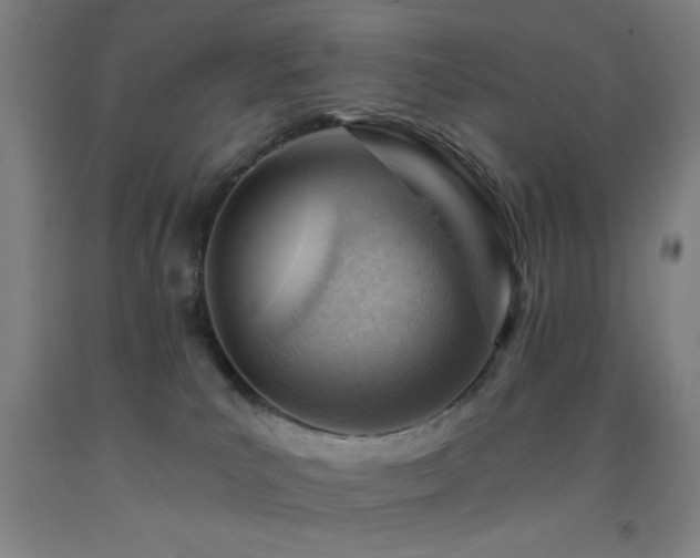 X0000093260039200709261740