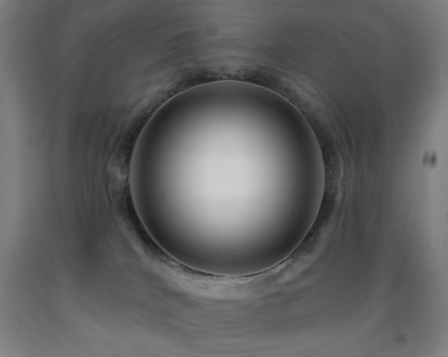 X0000093260040200709261740