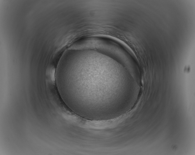 X0000093260041200709261740