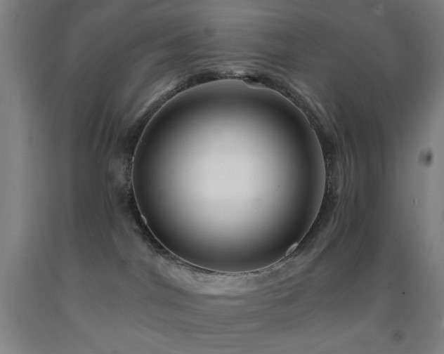 X0000093260044200709261740