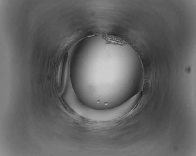 X0000093260045200709261740