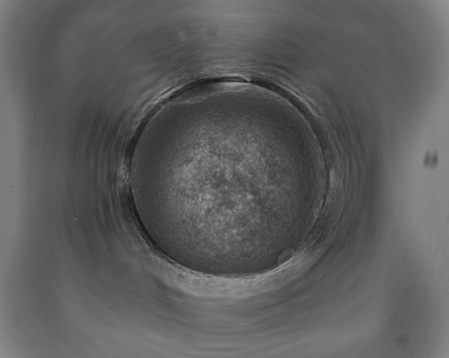 X0000093260048200709261740