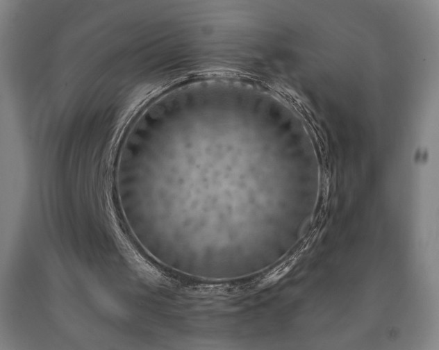 X0000093260049200709261739