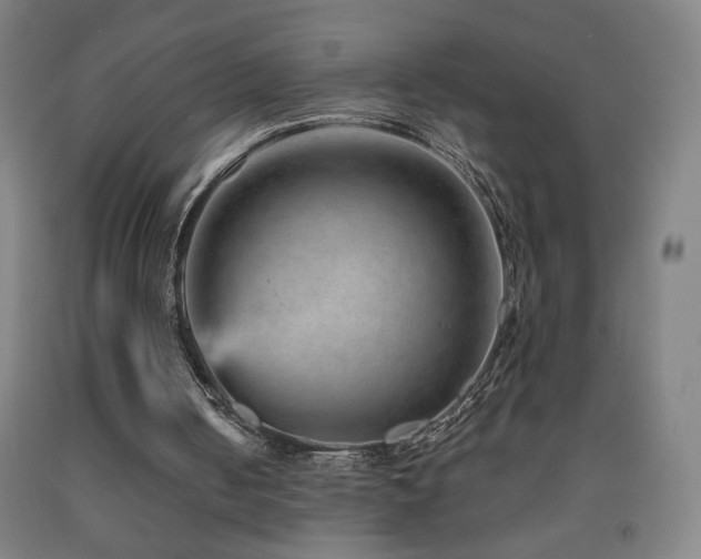 X0000093260050200709261740