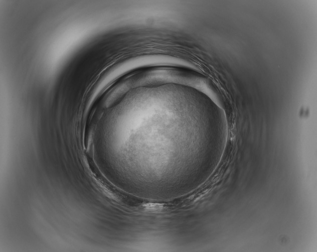 X0000093260052200709261740