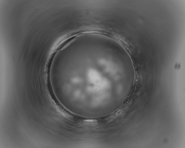 X0000093260053200709261740